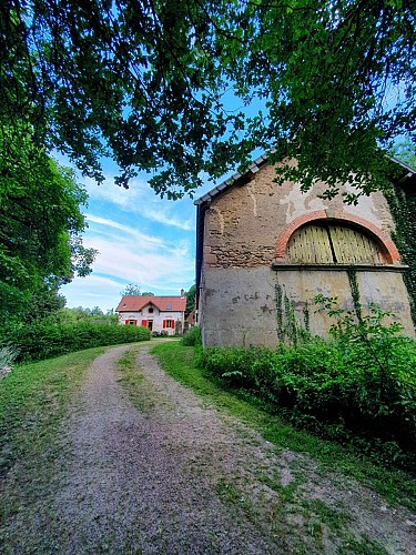 Immersion en forêt 1