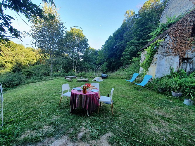 Immersion en forêt 2