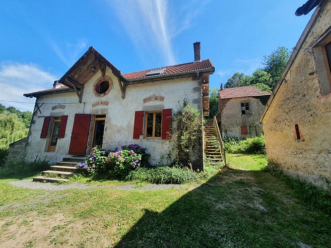 Immersion en forêt 3