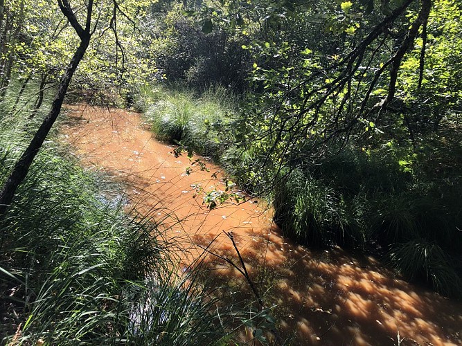 La rivière ferrugineuse