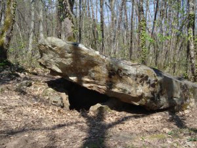 le dolmen de bonarme