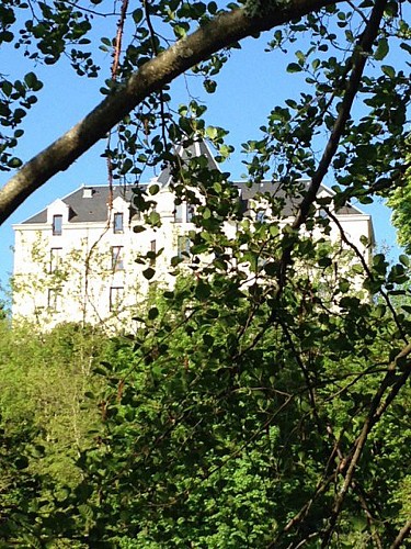 Chateau des izards