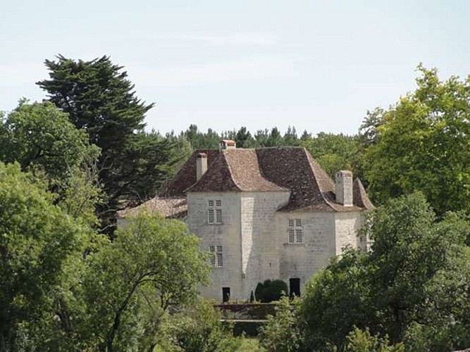 Vue sur le Château de la Fontvieille
