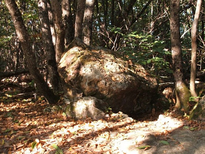 Dolmen de Peyrebrune Saint-Aquilin 4