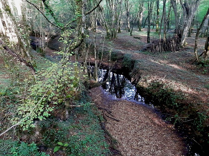 Ruisseau boucle peypensou (1)