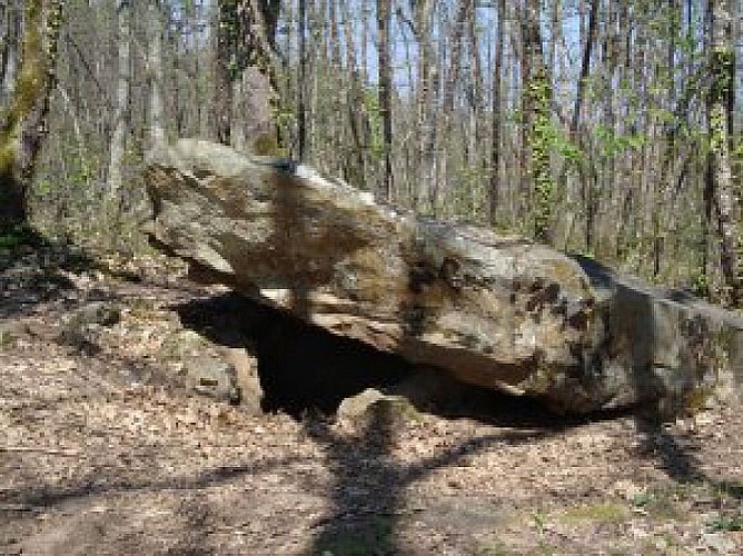 dolmen bonarmr