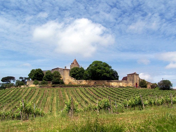 Arbis Château de Benauge