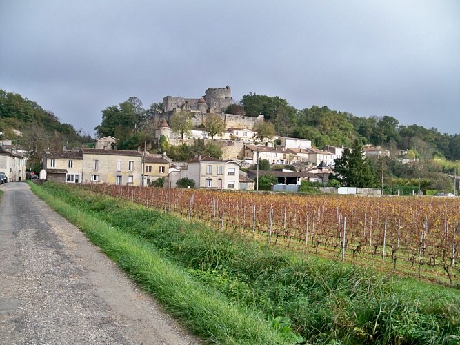 Château de Langoiran vue de la vallée