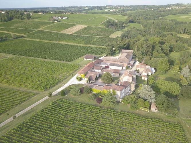 château monconseil gazin blaye cotes de bordeaux plassac 800x600