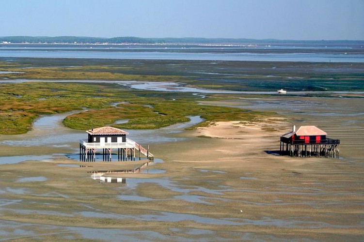 Bassin-d-Arcachon---Cabanes-tchanquees