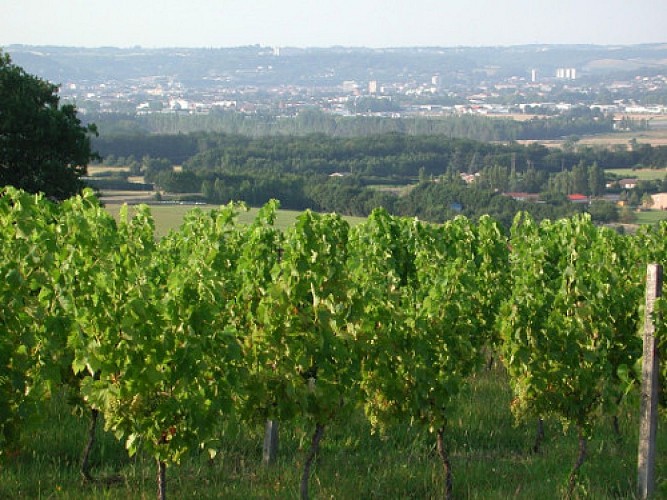 Point de vue sur la vallée de la Garonne Moirax