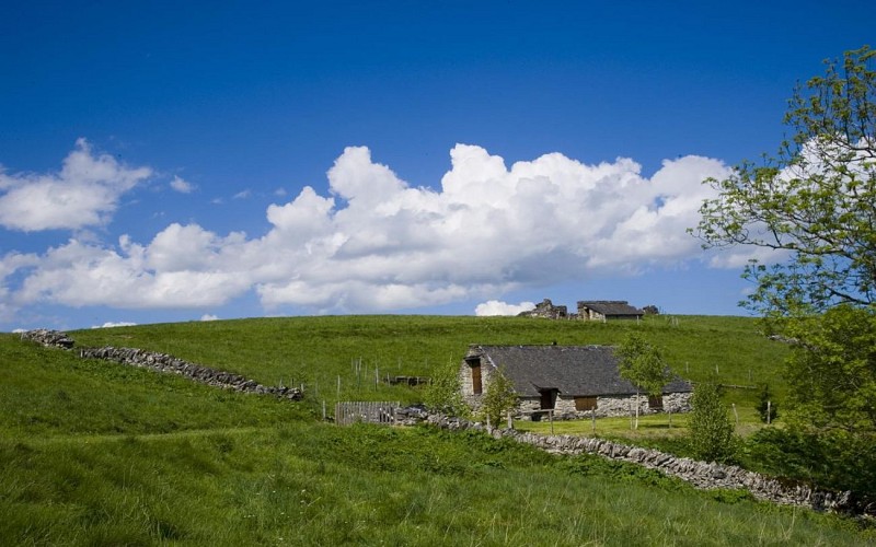 aas-cabane-montagneverte1©otebge.follet-1440x900