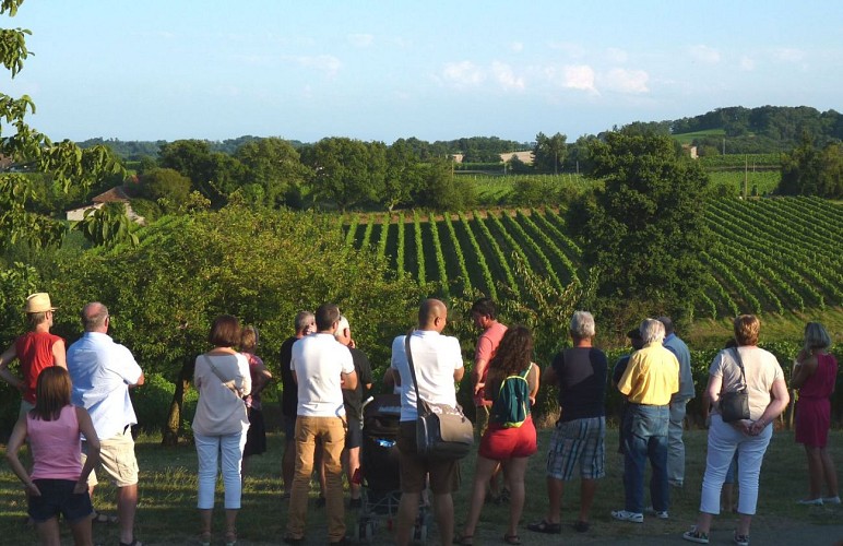 repas vigneron domaine dou bernes aydie 2