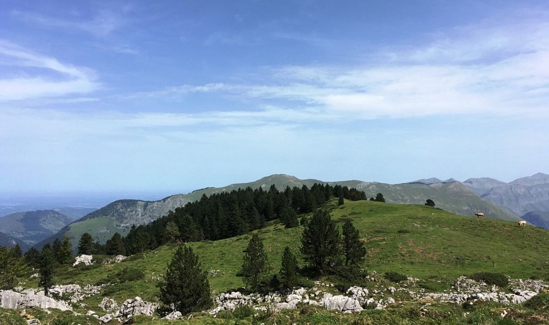 La vue depuis la cabane