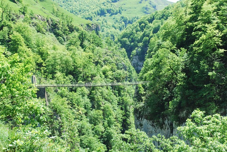 Oladübi_la-passerelle-d'Hol