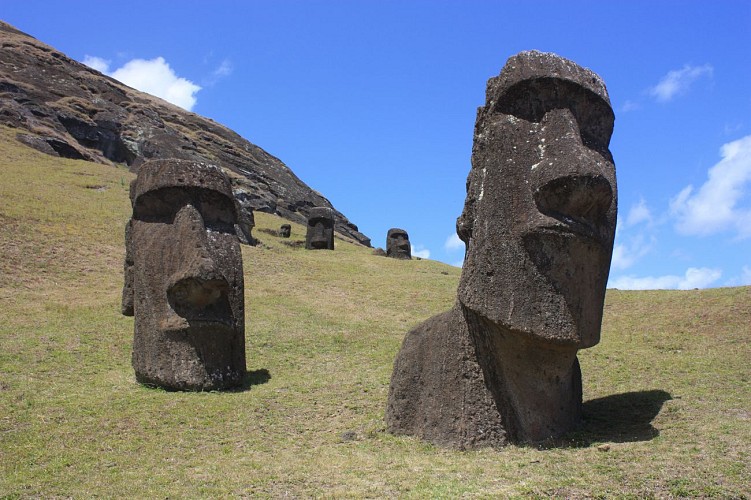 Les Moaï de l'Ile de Pâques 