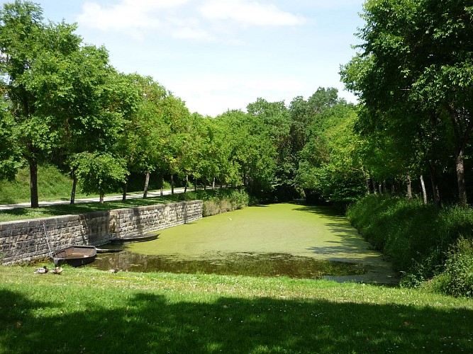 Saint-Georges-de-Rex et son marais préservé