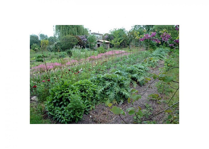 Jardin potager