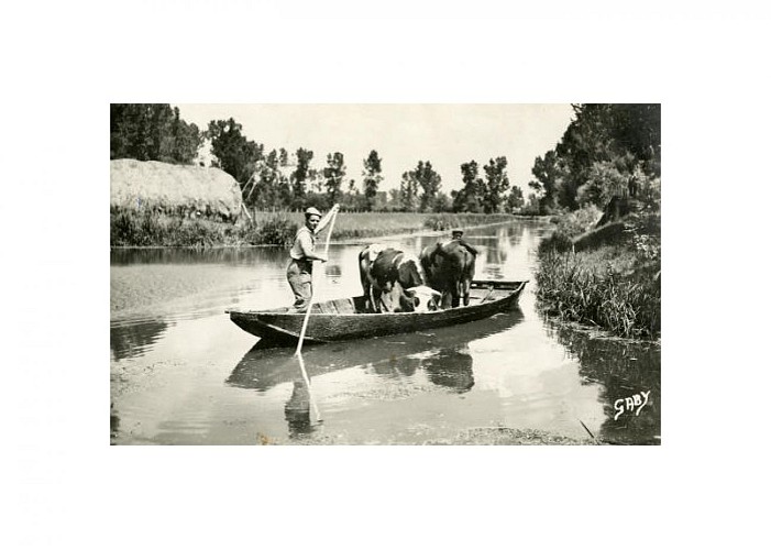 Transportanimaux en barque