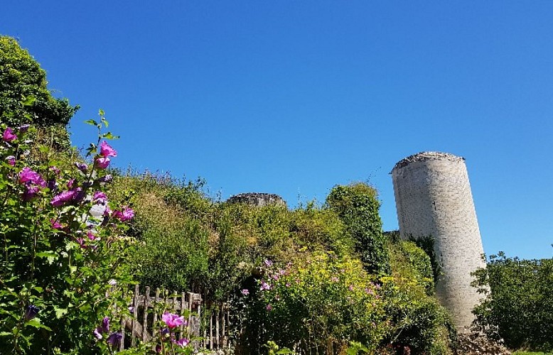 Château du Coudray-Salbart