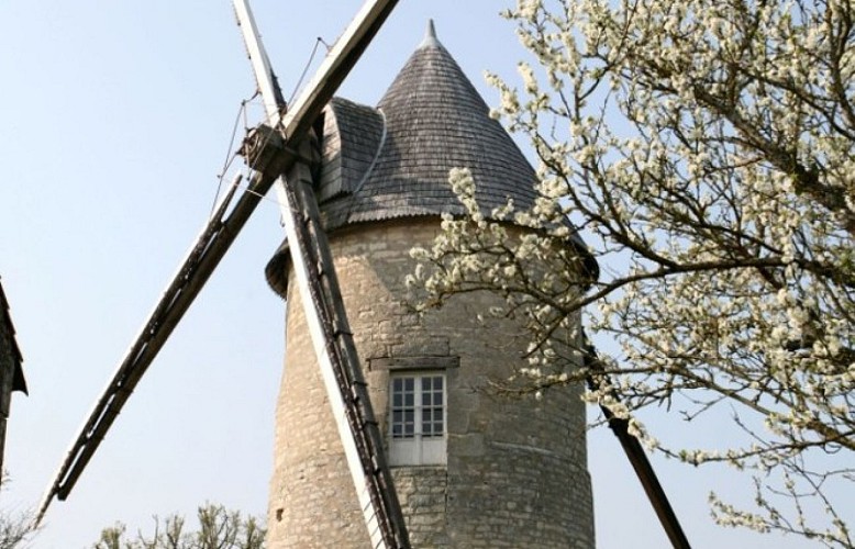 Moulin de Rimbault à Beauvoir-sur-Niort