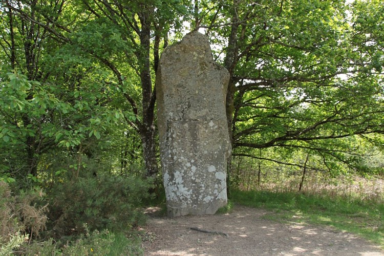 image du object