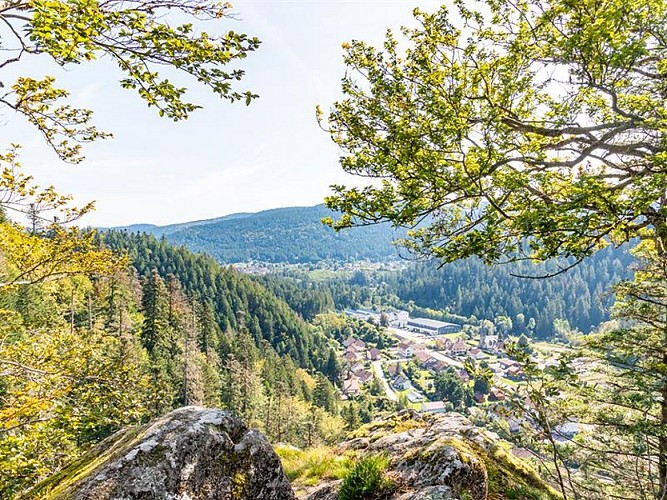 LA ROCHE DU CORBEAU - VIEWPOINT