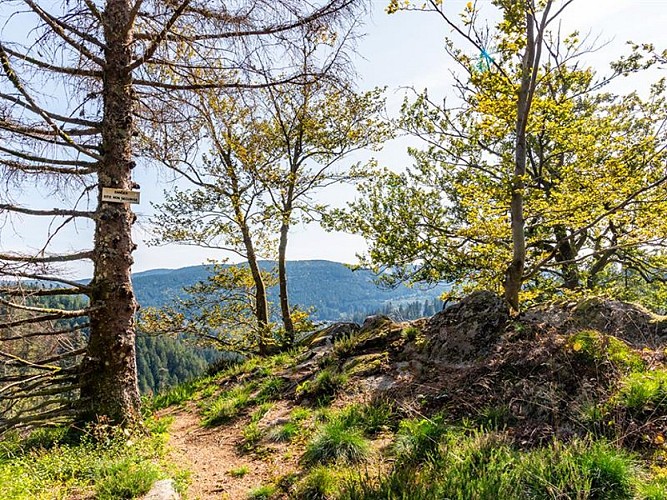 LA ROCHE DU CORBEAU - VIEWPOINT