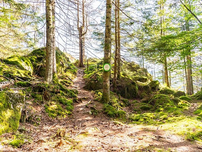 LA ROCHE DU CORBEAU - VIEWPOINT