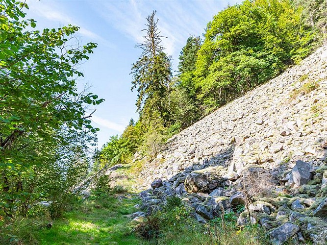 LA RÉSERVE BIOLOGIQUE INTEGRALE DU KERTOFF