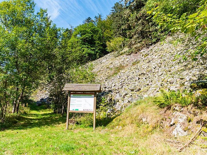 LA RÉSERVE BIOLOGIQUE INTEGRALE DU KERTOFF