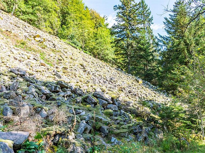 LA RÉSERVE BIOLOGIQUE INTEGRALE DU KERTOFF