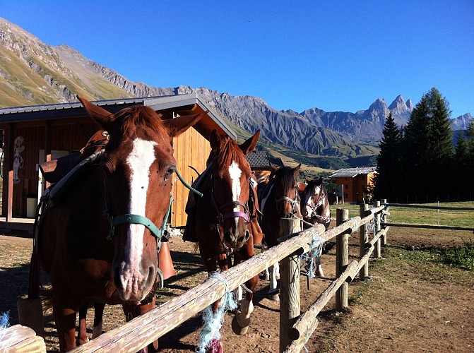 Centro equestre di Kavalkada