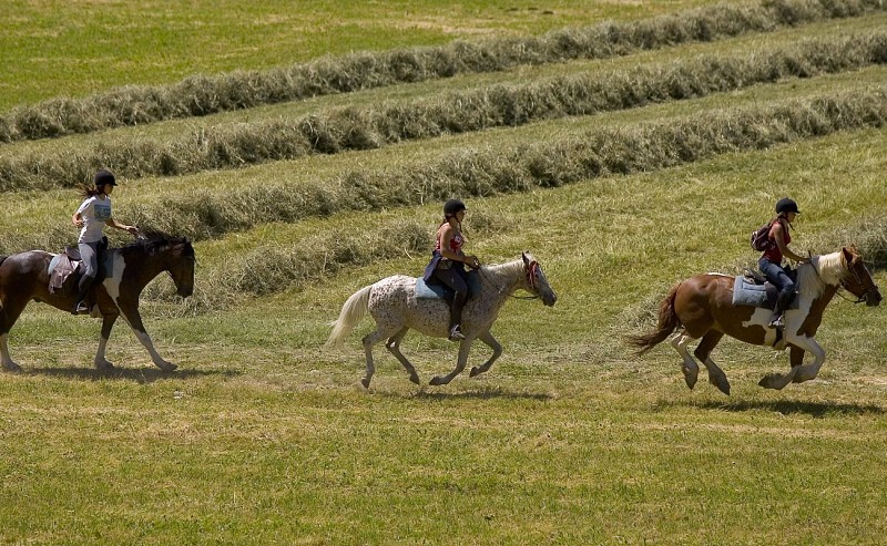 Centro equestre di Kavalkada