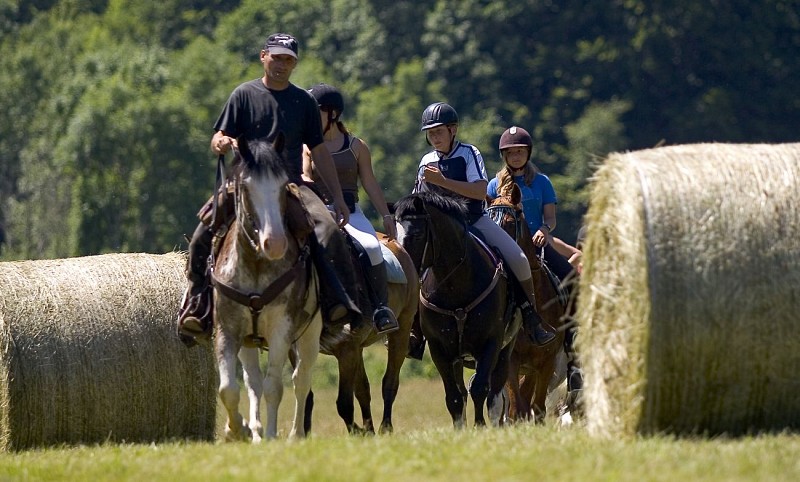 Centro equestre di Kavalkada