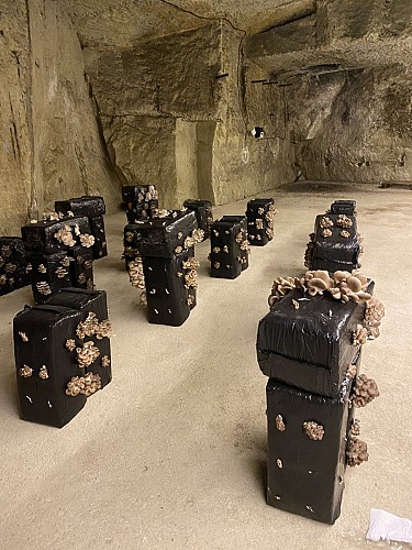 28E0667C-0B31-4FB0-9DDC-5BD939B4DC11