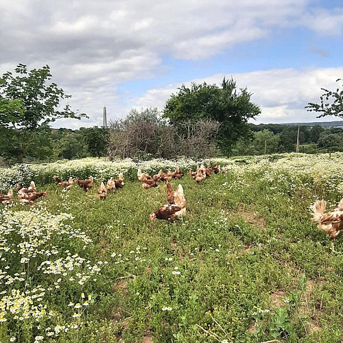 Ferme du Vieux Canal de Ronquières 4