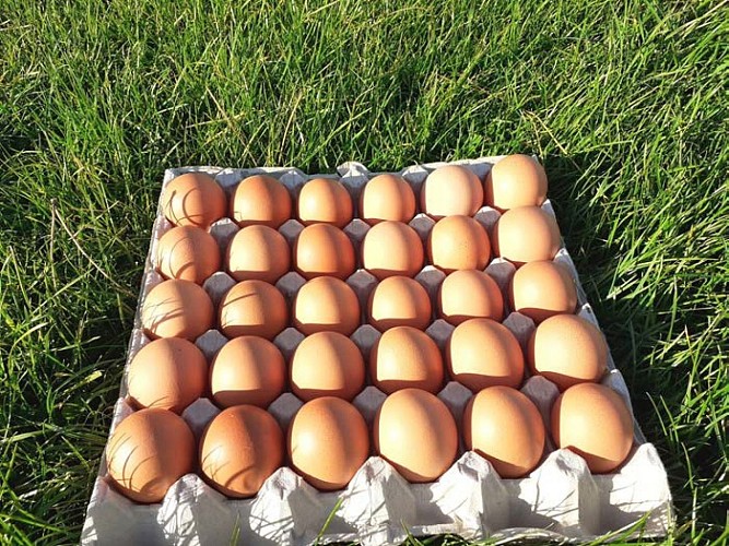 Ferme du Vieux Canal de Ronquières 2