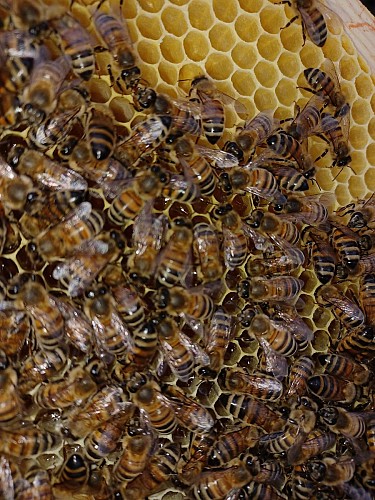 376255761_793378552794241_7394879585277430194_n