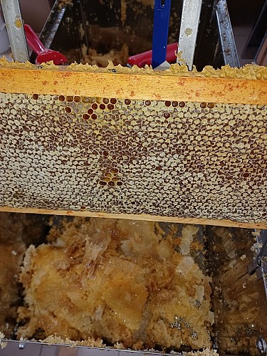 376280867_793377779460985_6114446084887989650_n