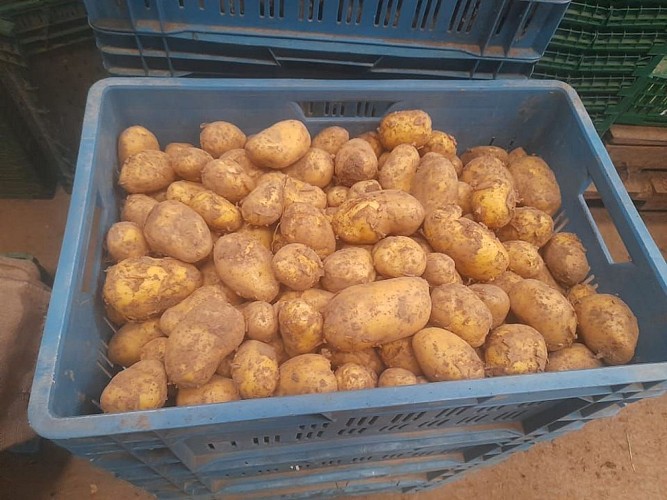 363854947_747206763873047_7184865576976052747_n