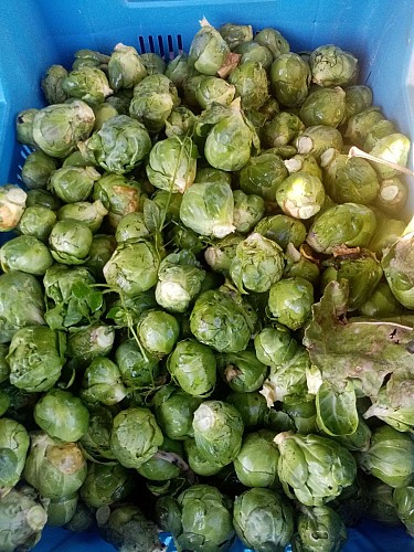 141023235_707430886624909_4865396336728204156_n