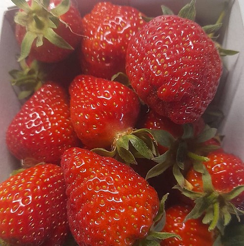 347591564_120399627737740_3181775072783969308_n