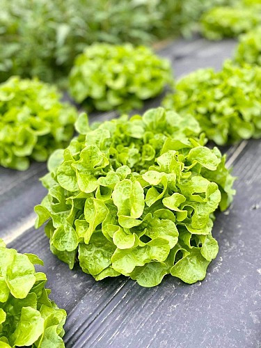 191339311_772676270100370_7269654646288649726_n