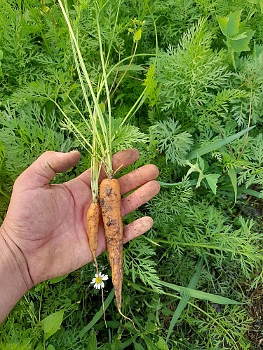 285448320_984943652206963_1774265951050308619_n