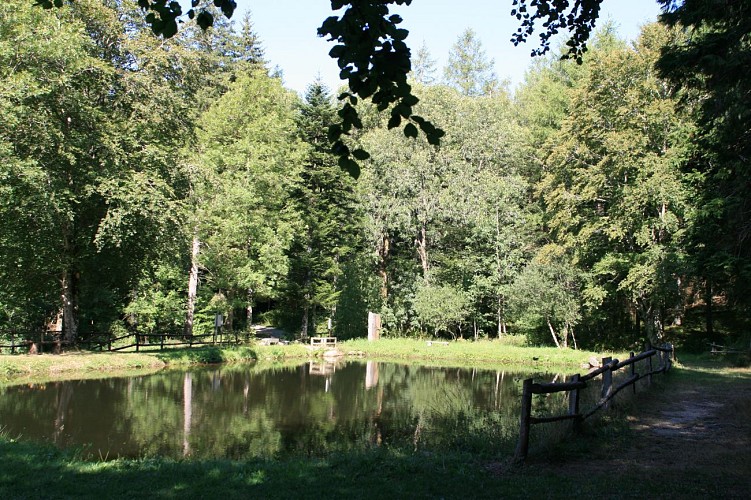 Bassins de Poutras (pêche à la ligne)
