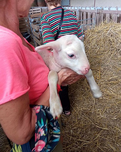 Ferme du Reclaud de Viaud 2 (2)