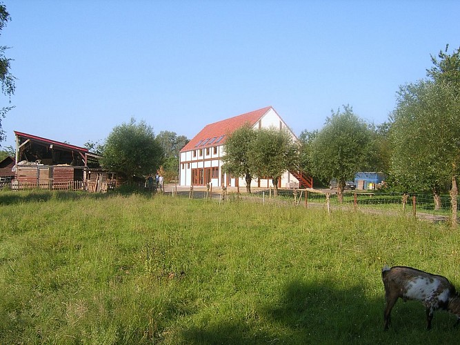 294257616_383449100557878_8924203672490459649_n