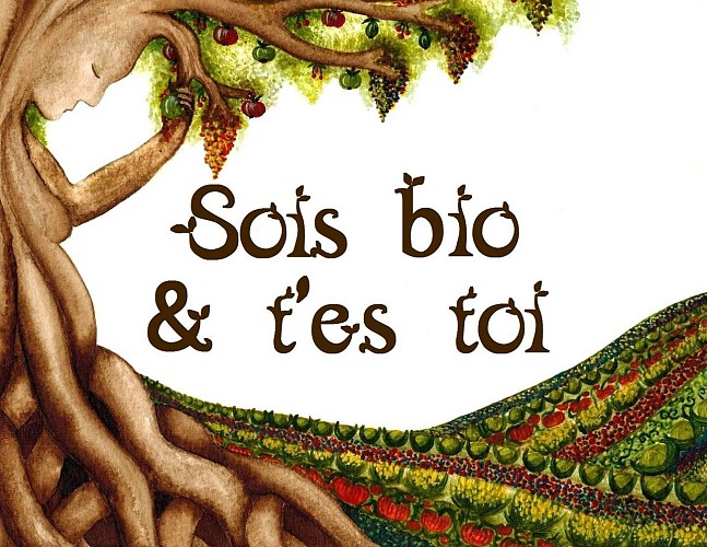 279725261_669940190652234_2831680426848085899_n