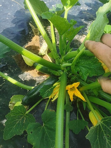 354569045_961987884780795_5845596605071619857_n